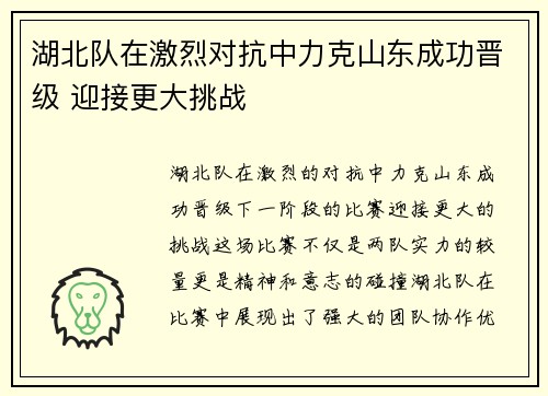 湖北队在激烈对抗中力克山东成功晋级 迎接更大挑战