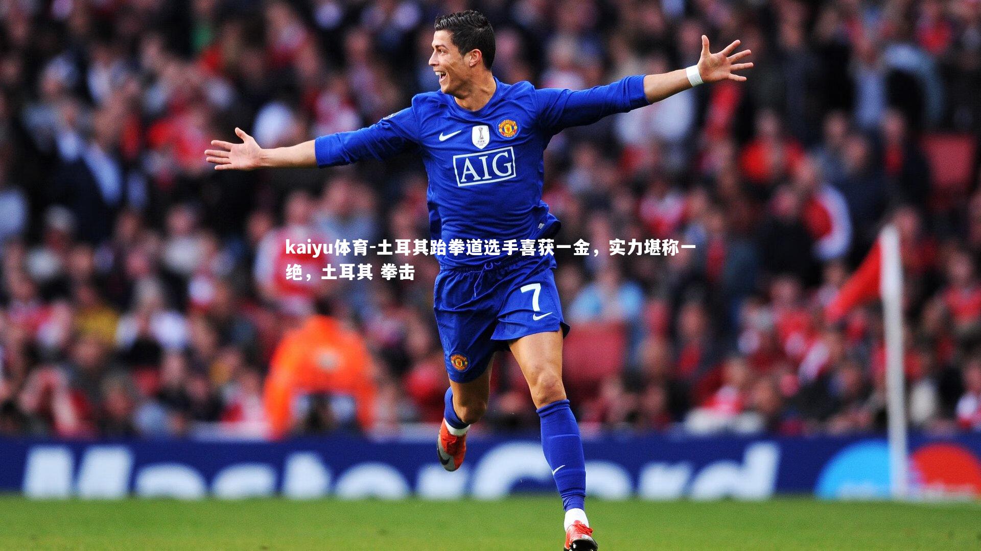 土耳其跆拳道选手喜获一金,实力堪称一绝,土耳其 拳击