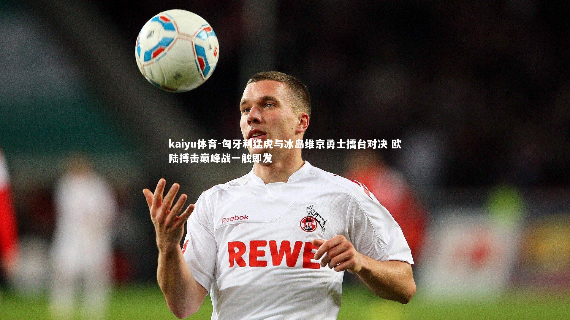 kaiyu体育-匈牙利猛虎与冰岛维京勇士擂台对决 欧陆搏击巅峰战一触即发