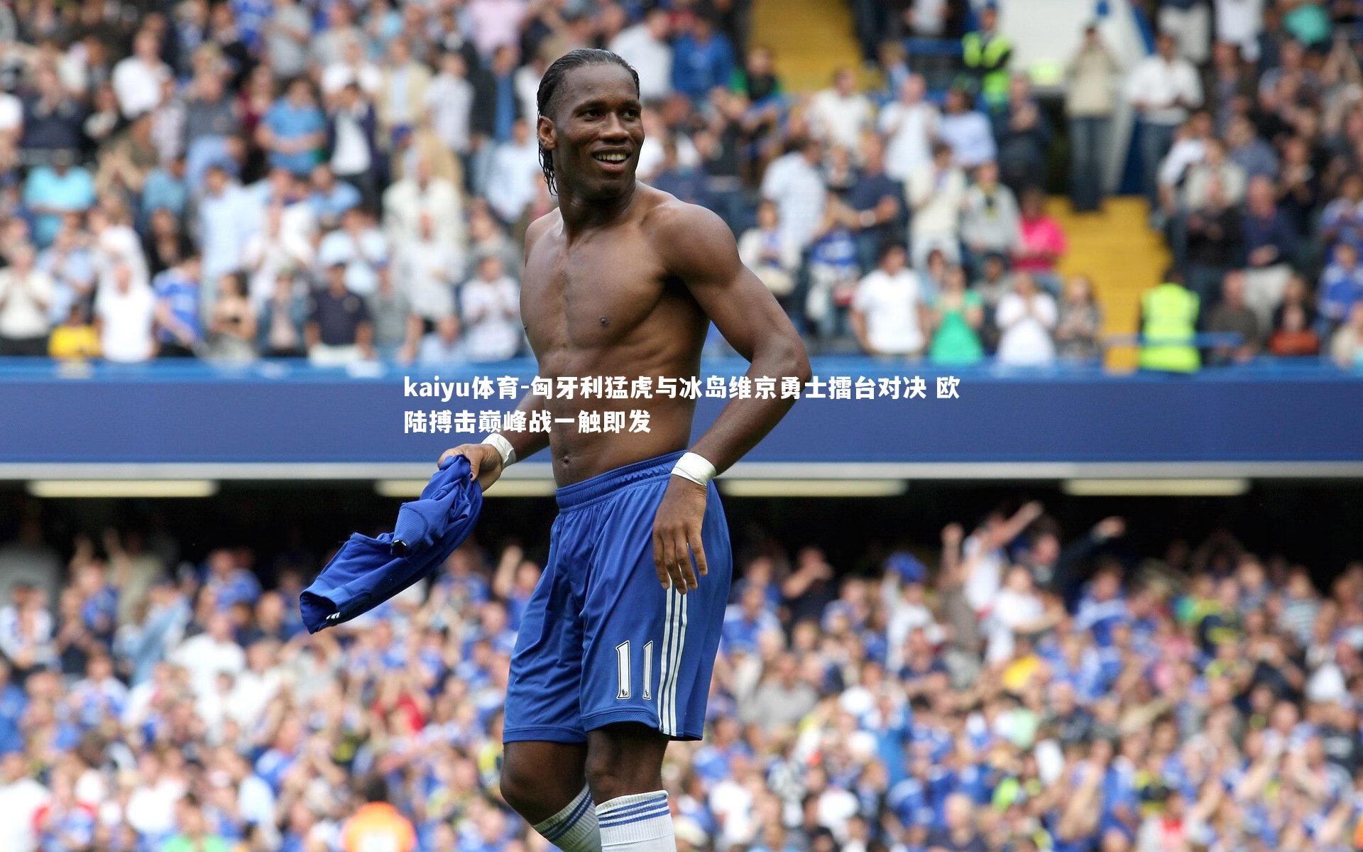 匈牙利猛虎与冰岛维京勇士擂台对决 欧陆搏击巅峰战一触即发